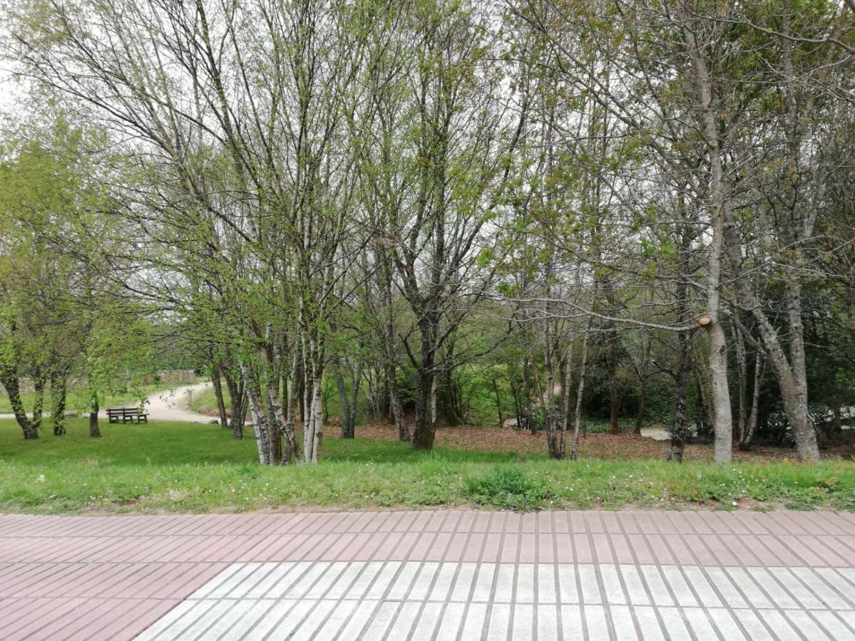 Apartamento Sigueeiro Camino Ingles Sigueiro Exterior foto